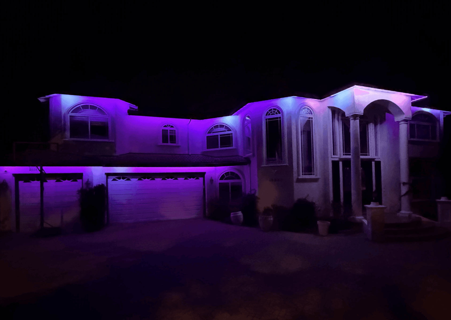 Estate — Full Purple Scene
