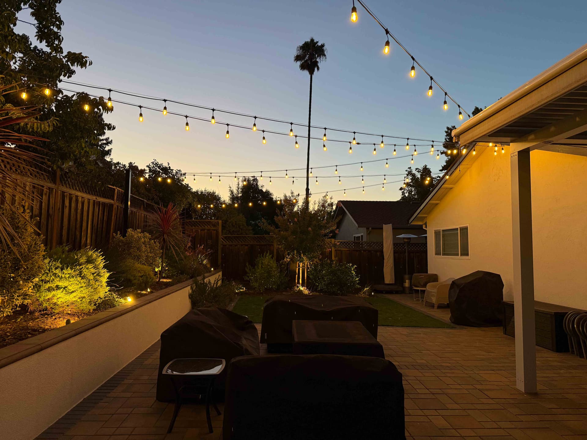 Edison string lights over backyard patio at dusk